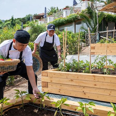 Hotel Balocco Порто Черво Екстериор снимка